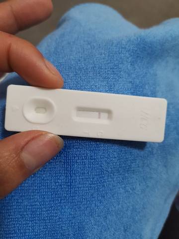 journal_insert_pic_1690374965