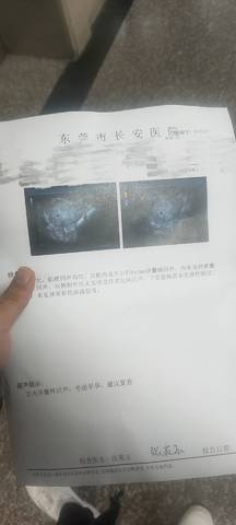 journal_insert_pic_1679453611