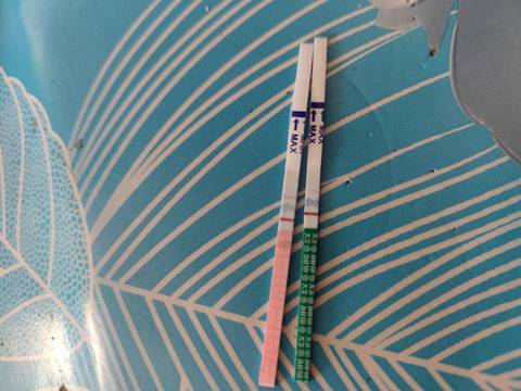 journal_insert_pic_1689373107