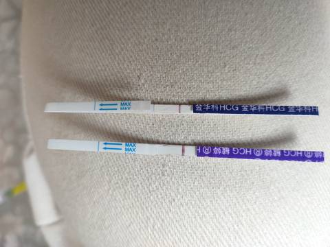 journal_insert_pic_1688186755