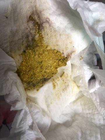 journal_insert_pic_1674195328