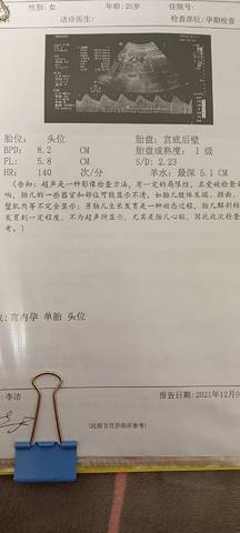 journal_insert_pic_1685047219