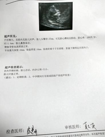 journal_insert_pic_1690190922