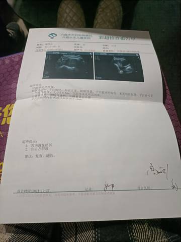 journal_insert_pic_1687321820