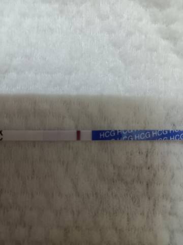 journal_insert_pic_1684398881