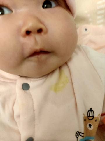 journal_insert_pic_1674533087