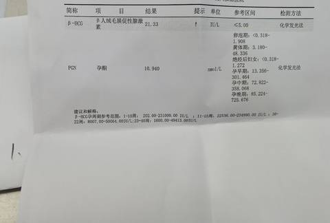 journal_insert_pic_1720020851