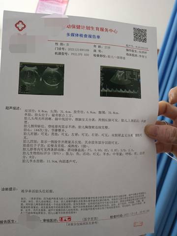 journal_insert_pic_1680174805