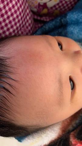 journal_insert_pic_1673392168