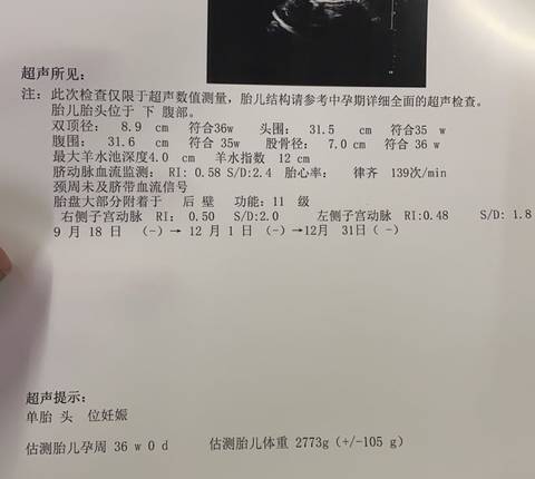 journal_insert_pic_1719417626