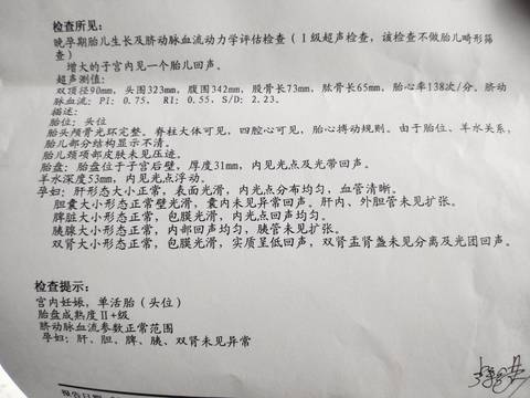 journal_insert_pic_1683009929