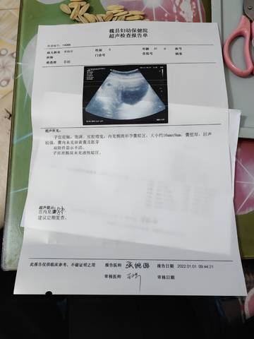 journal_insert_pic_1690184053