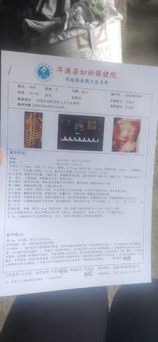 journal_insert_pic_1740880335