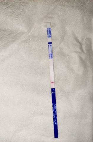 journal_insert_pic_1685115862