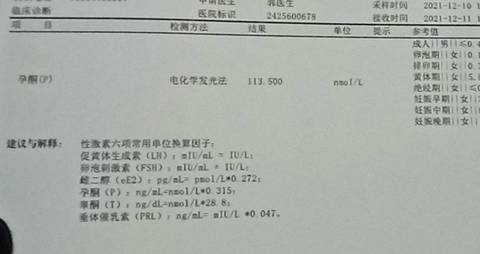 journal_insert_pic_1678744830