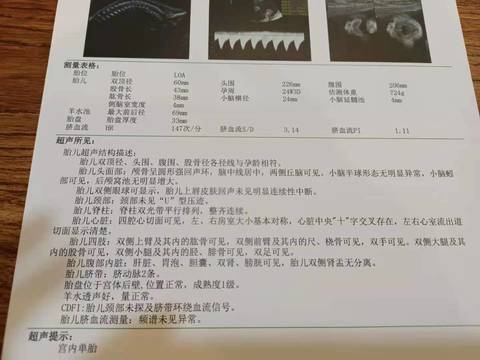 journal_insert_pic_1679167624