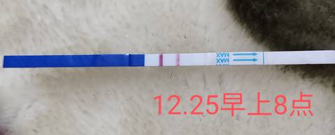 journal_insert_pic_1685705397