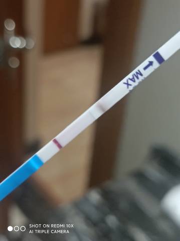 journal_insert_pic_1719922221