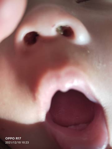 journal_insert_pic_1677254623