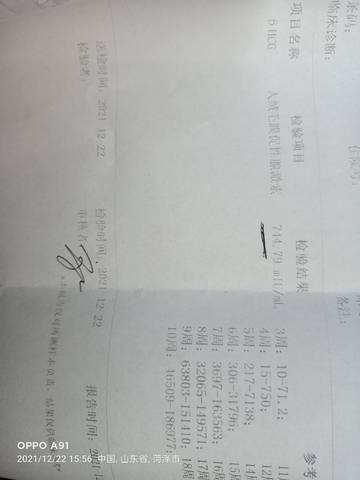 journal_insert_pic_1684221109