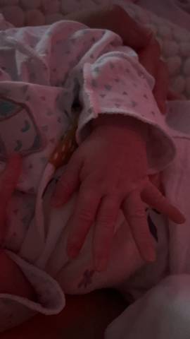 journal_insert_pic_1689910908