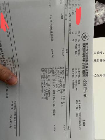 journal_insert_pic_1687177892