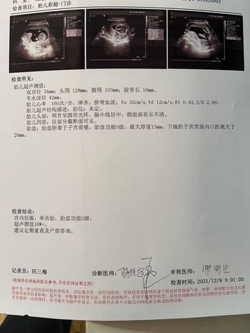 journal_insert_pic_1676004772