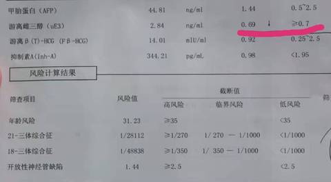 journal_insert_pic_1678280333