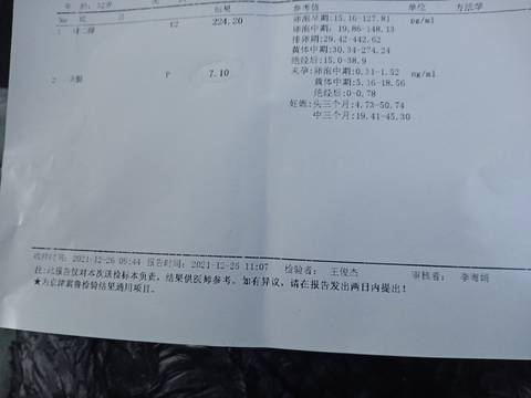 journal_insert_pic_1686536560