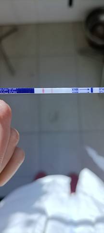 journal_insert_pic_1688590940