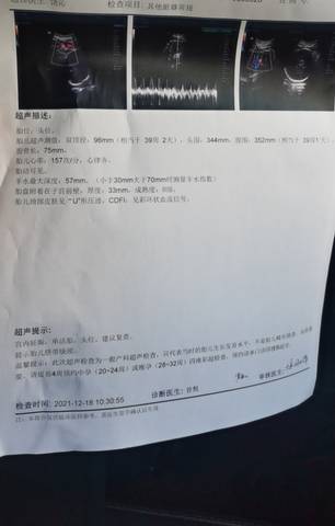journal_insert_pic_1682407184