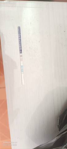 journal_insert_pic_1674616878