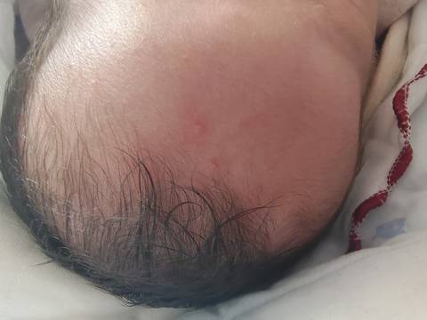 journal_insert_pic_1683538560