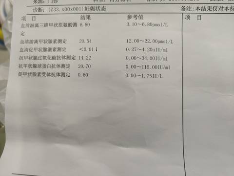 journal_insert_pic_1690121532