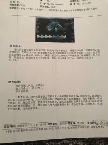 journal_insert_pic_1676834584