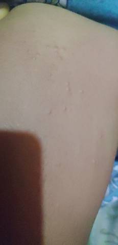 journal_insert_pic_1678002057