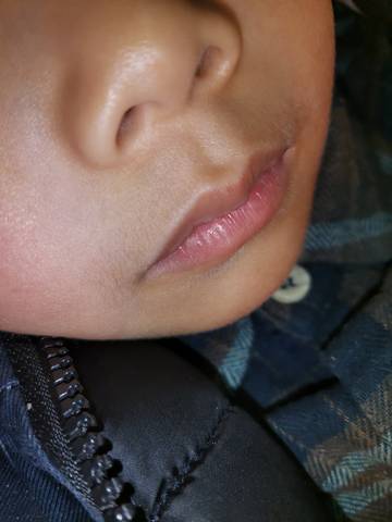 journal_insert_pic_1683241860