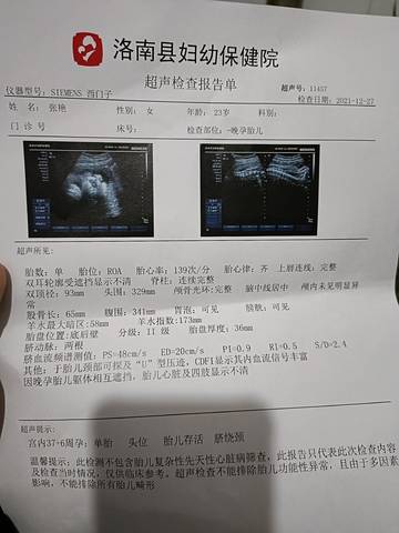 journal_insert_pic_1688923313