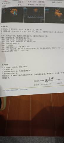 journal_insert_pic_1685612837