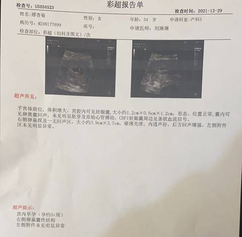 journal_insert_pic_1690553109