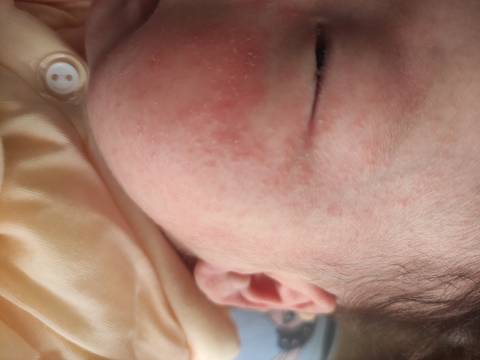 journal_insert_pic_1689513796