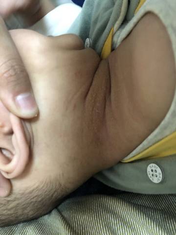 journal_insert_pic_1681699799