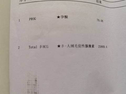 journal_insert_pic_1674018940