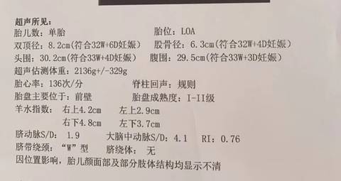 journal_insert_pic_1741028154