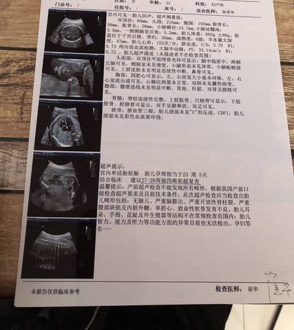 journal_insert_pic_1675558578