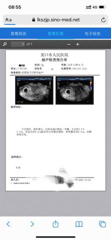 journal_insert_pic_1685351685