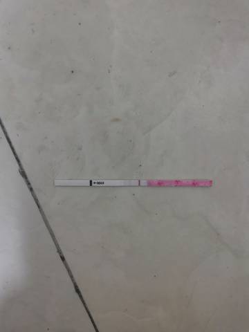 journal_insert_pic_1678932777