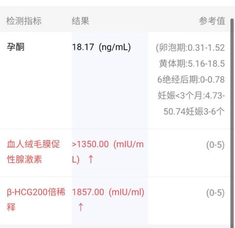 journal_insert_pic_1675500138