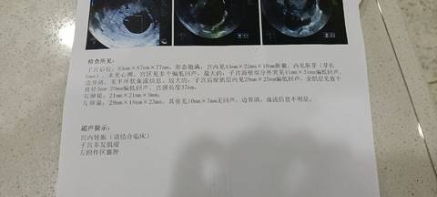 journal_insert_pic_1682606609