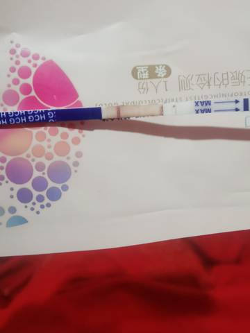 journal_insert_pic_1677513338